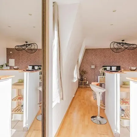 Tulipe Hypercentre Fantastique Apartment