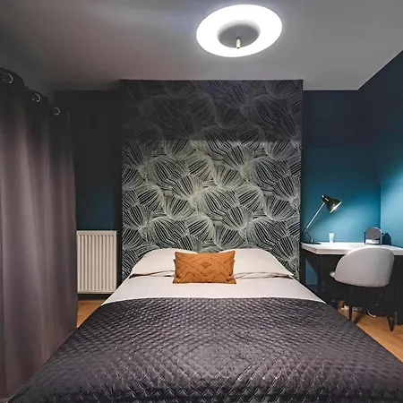 Tulipe Hypercentre Fantastique *