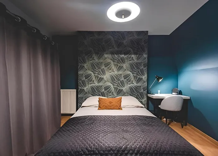 Tulipe Hypercentre Fantastique *